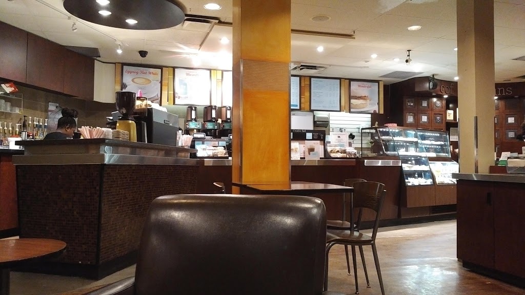Second Cup Coffee Co. | 1004 King St W, Hamilton, ON L8S 1L1, Canada | Phone: (905) 540-4839