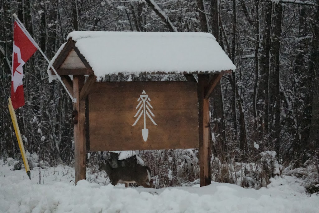 Heritage Reforestation Inc | 201 Chem. Mill, Waltham, QC J0X 3H0, Canada | Phone: (877) 324-4448