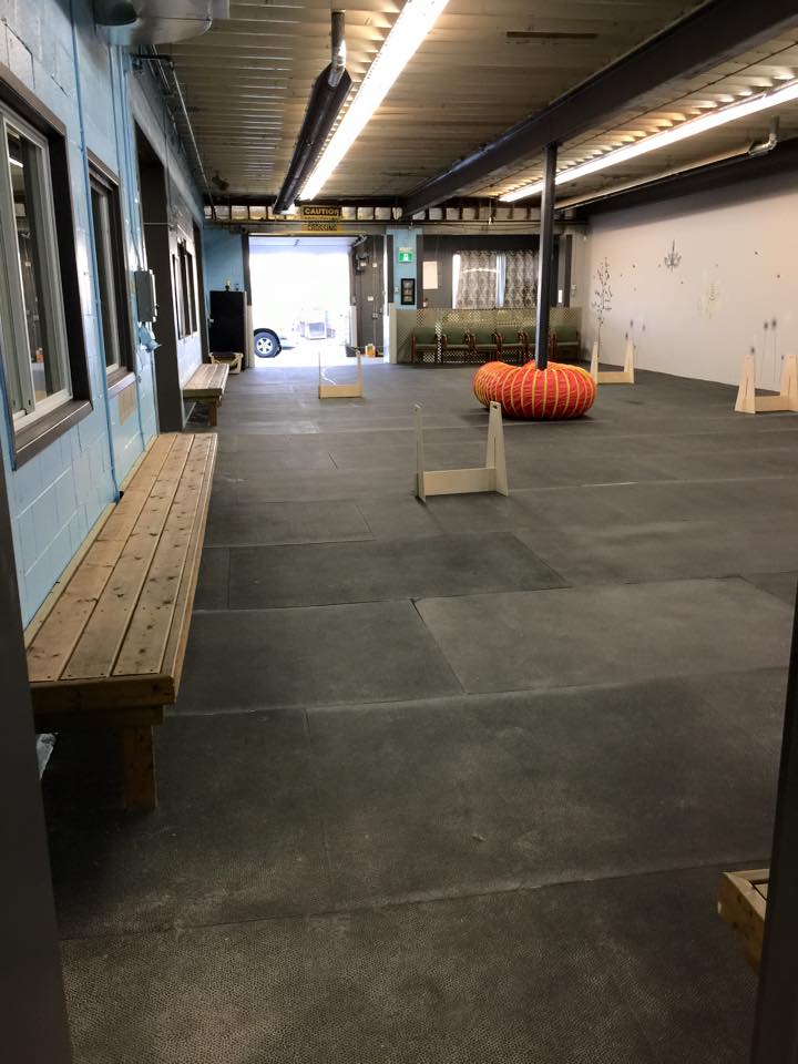 Ellies Wag and Train KW | 1680 Victoria St N, Kitchener, ON N2B 3E5, Canada | Phone: (519) 742-4000