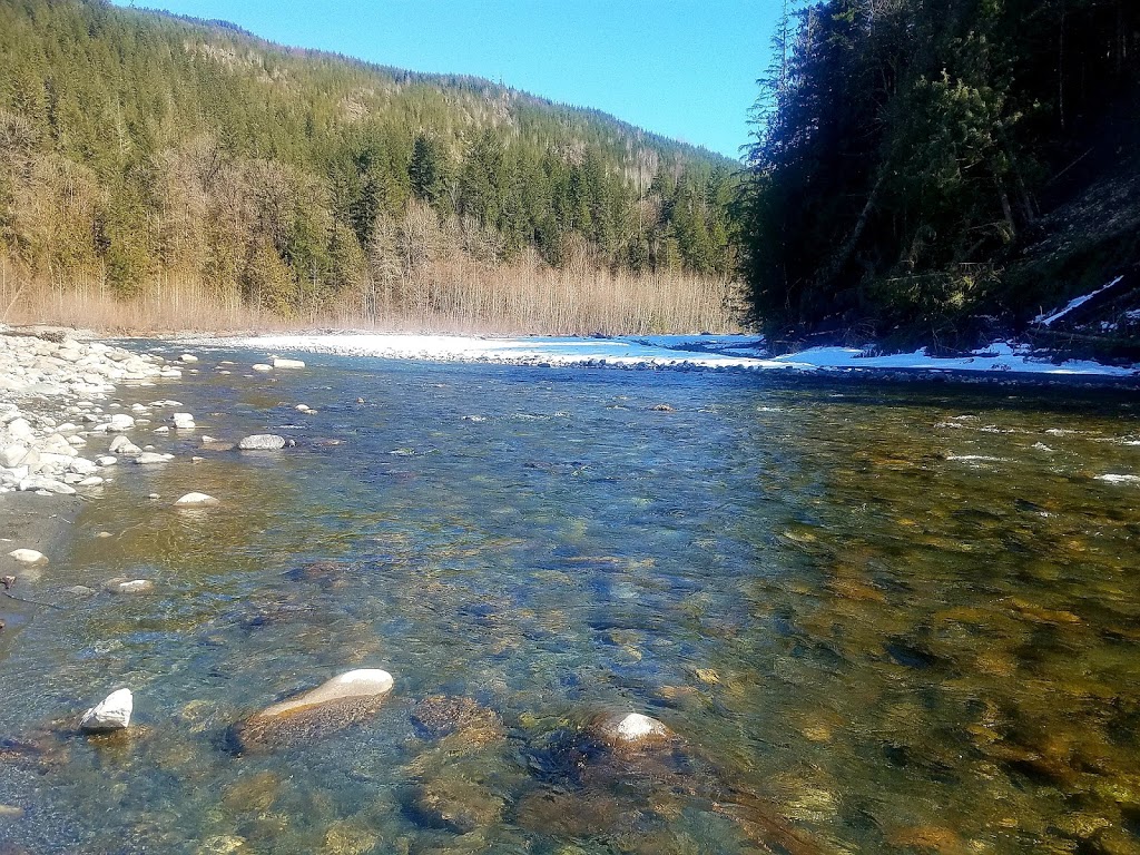 Twelve Bedroom Lodge - 03MBH | 8959 Mt Baker Hwy, Deming, WA 98244, USA | Phone: (636) 736-4460
