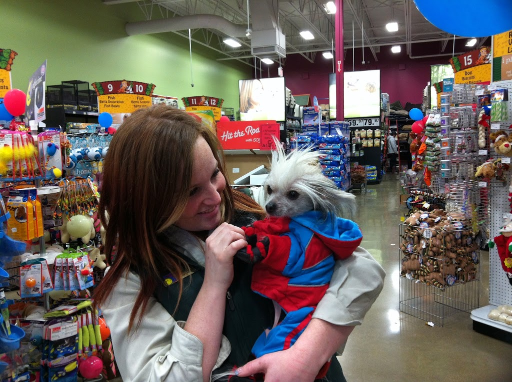 Petland | 3047 Clarence Ave S, Saskatoon, SK S7T 0B4, Canada | Phone: (306) 934-3920