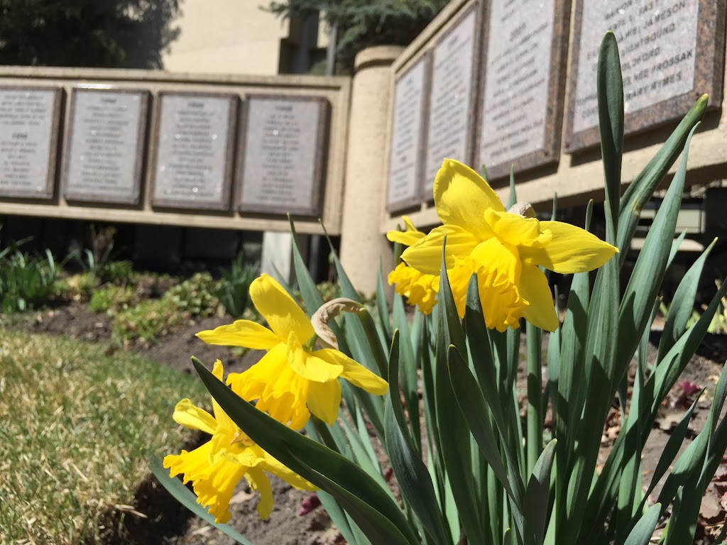 Dr John H Garden Memorial Garden | 4825 Mt Royal Gate SW, Calgary, AB T3E 7N5, Canada | Phone: (403) 440-6111