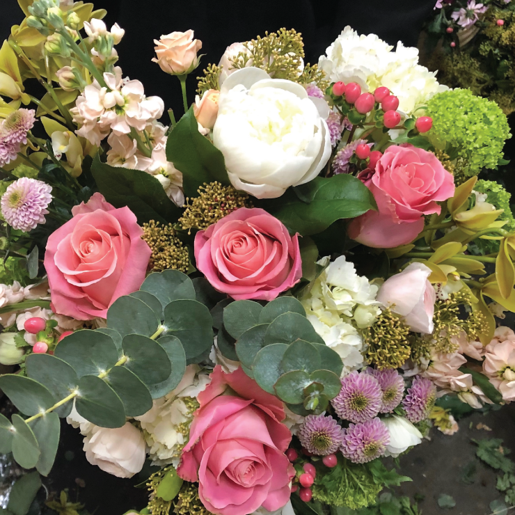 STEMS by Stongs | 4221 Dunbar St, Vancouver, BC V6S 2G6, Canada | Phone: (604) 630-3153