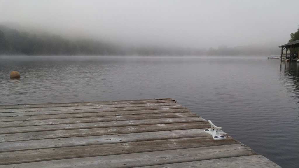 Old Mill Marina | 1652 Russell Landing Rd, Dorset, ON P0A 1E0, Canada | Phone: (705) 766-2214