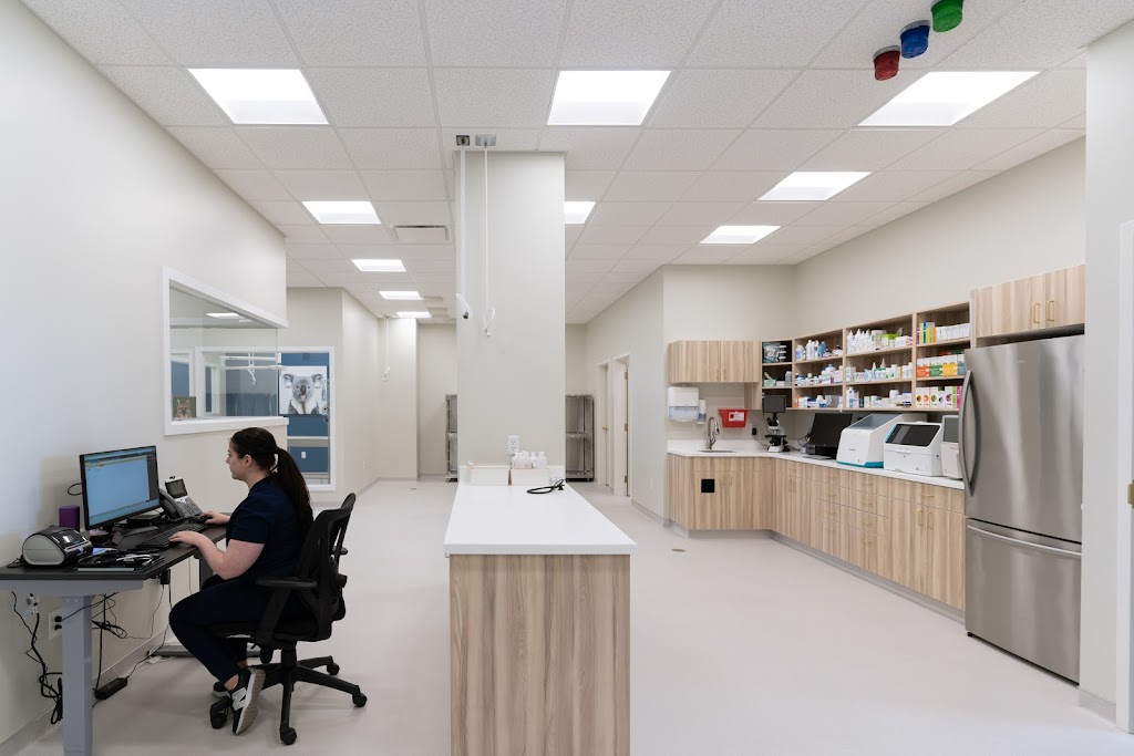 WestVets Animal Hospital | 876 Heritage Blvd W Unit 150, Lethbridge, AB T1K 8G1, Canada | Phone: (587) 425-6733