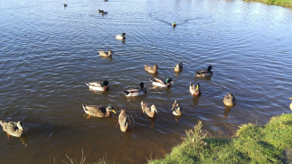 Lynden City Parks Department | 8770 Bender Rd, Lynden, WA 98264, USA | Phone: (360) 354-6717