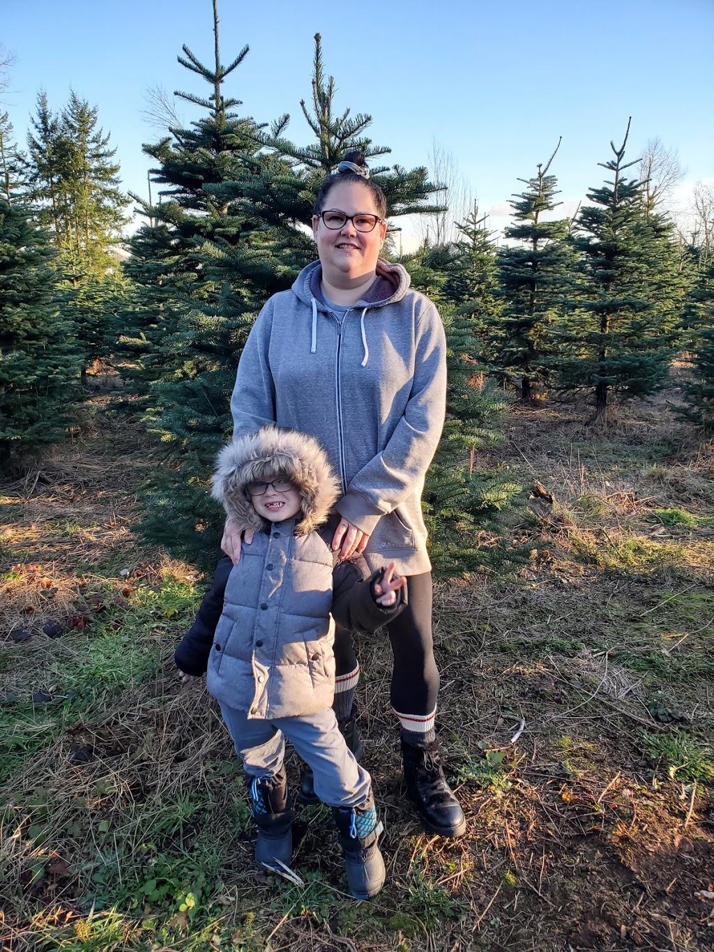 Tannenbaum Christmas Tree Farm | 5398 252 St, Aldergrove, BC V4W 1T1, Canada | Phone: (778) 552-3259
