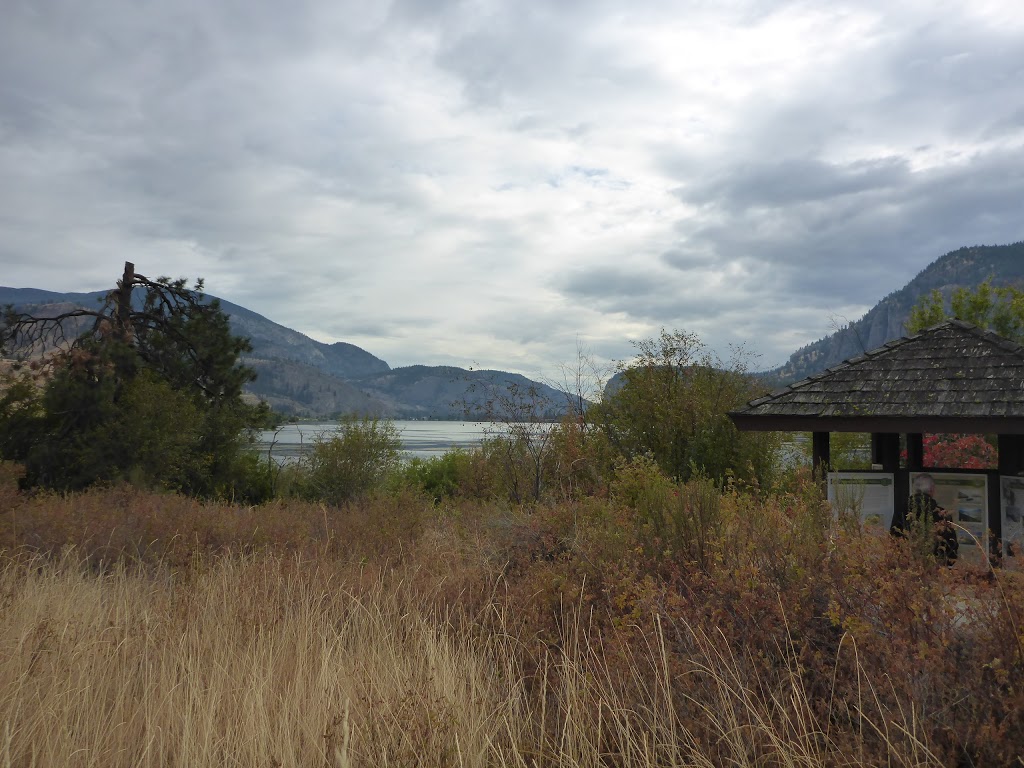 Vaseux Lake Bird Sanctuary | Okanagan Falls, BC V0H 1R0, Canada