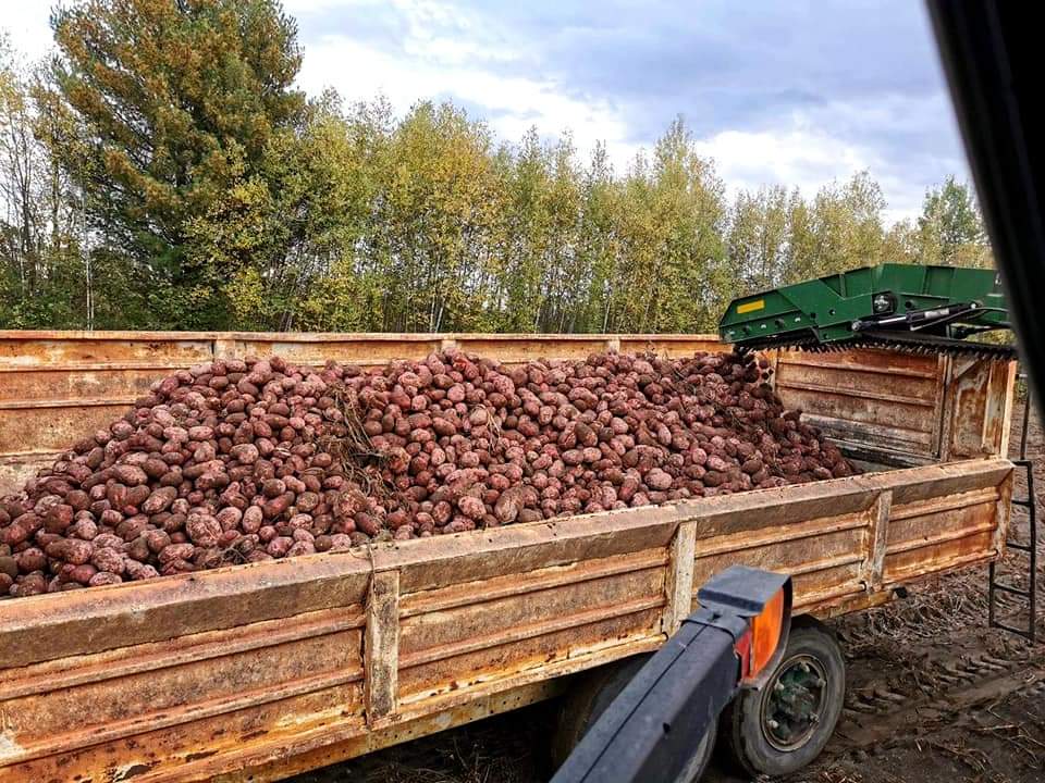 Les Patates Turcot Inc | 657 Rang de la Rivière S, Saint-Lin - Laurentides, QC J5M 2A1, Canada | Phone: (450) 439-2639