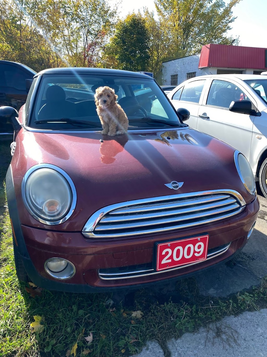 JSC Auto Sales Inc | 421 King St E, Cobourg, ON K9A 1M5, Canada | Phone: (647) 470-9092
