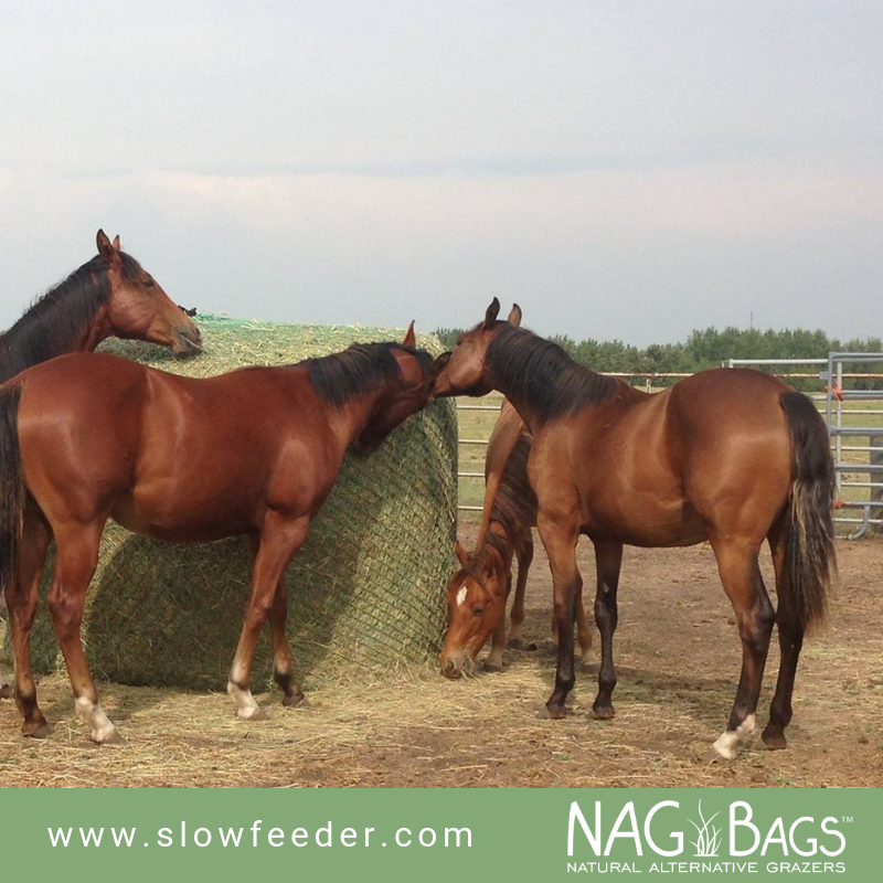 NAG Bags - Slow Hay Feeders | 600 Similkameen Ave, Princeton, BC V0X 1W0, Canada | Phone: (250) 295-5052