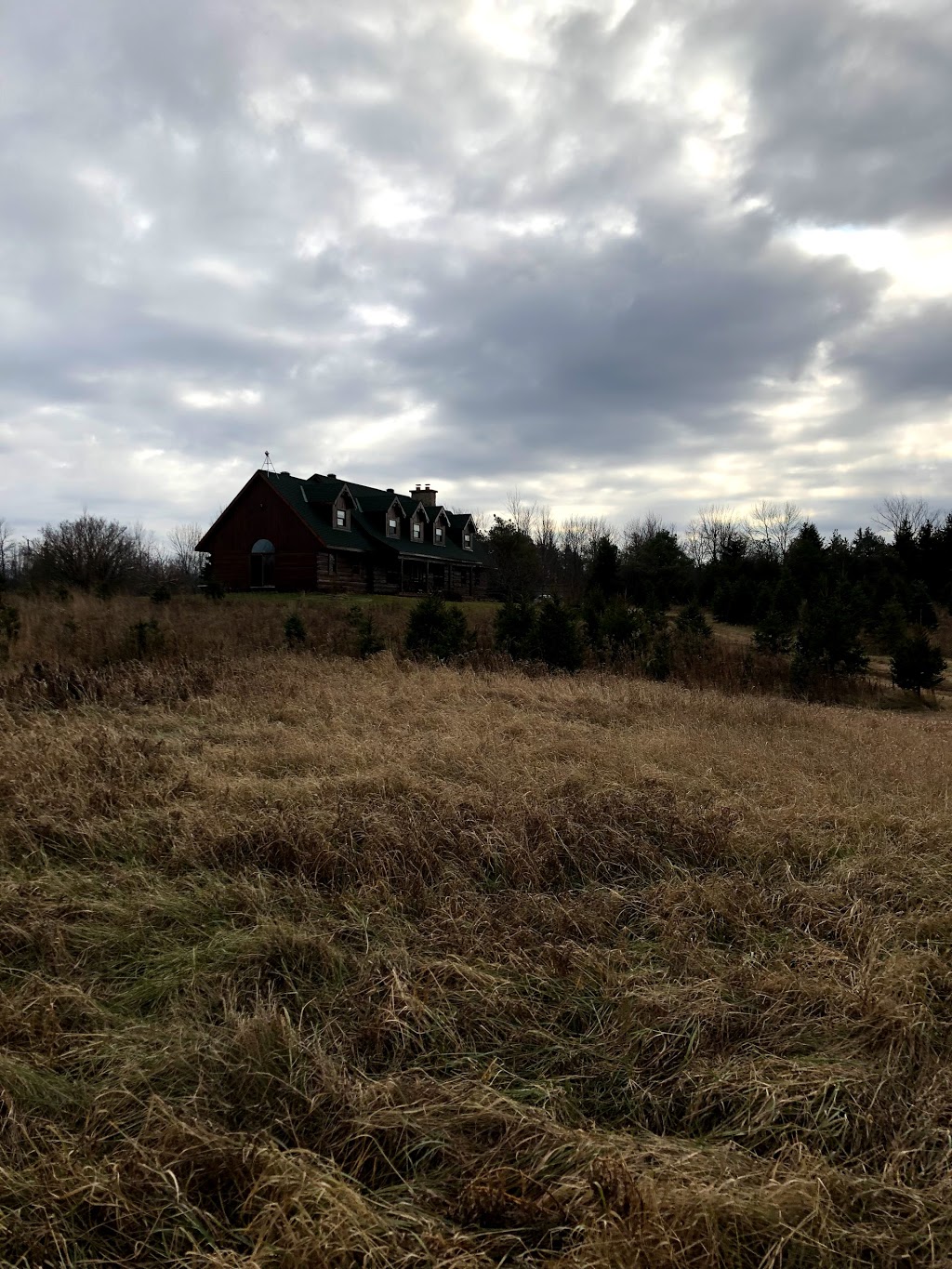 Ians Christmas Adventure Park | 804 Richmond Rd, Beckwith, ON K0A 1B0, Canada | Phone: (613) 253-0086
