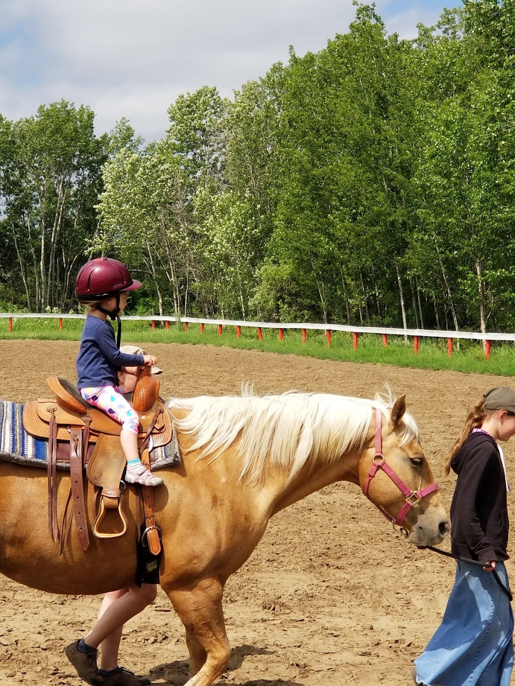 Red River Roping and Riding Arena | 407 Red Wing Rd, Spruce Home, SK S0J 2N0, Canada | Phone: (306) 763-3434