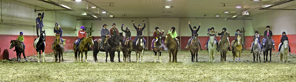 Sweet Talk Stables | 240142 Range Road 275 & Township Rd 240, Chestermere, AB T2P 2G7, Canada | Phone: (403) 207-3353