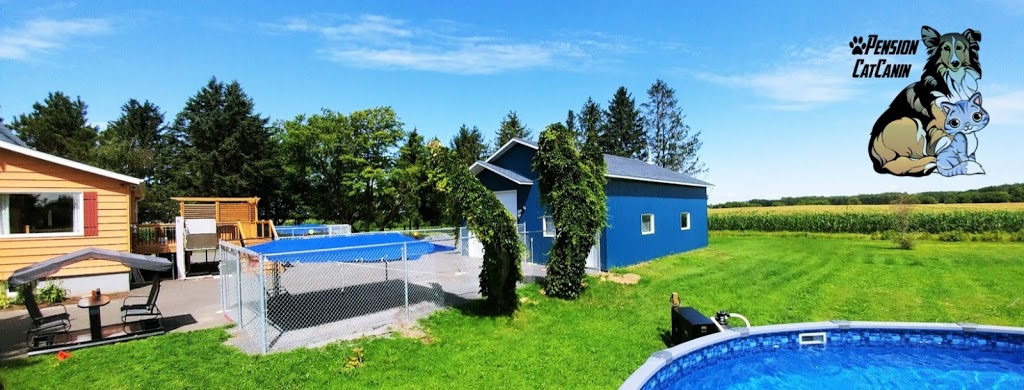 Pension CatCanin | 1950 Boulevard Lemire O, Saint-Majorique, QC J2B 8A9, Canada | Phone: (819) 479-5828
