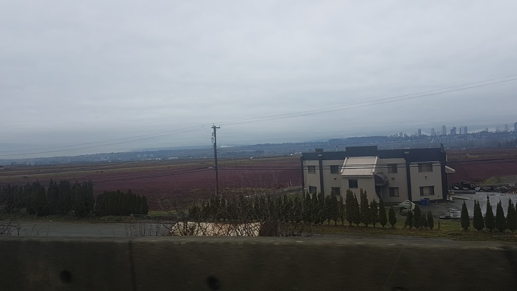 Mayland Farms Ltd | 19611 Westminster Hwy, Richmond, BC V6V 1B2, Canada | Phone: (604) 278-1663