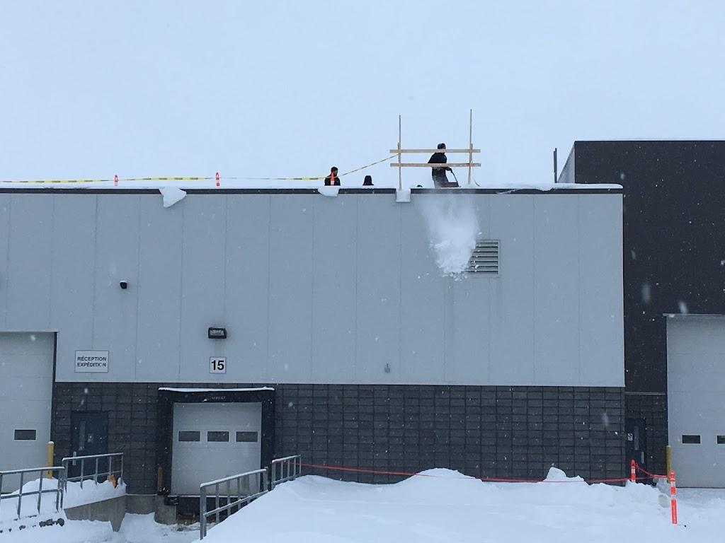 Déneigement Expert Québec | 452 Av. Jacques-Cartier, Donnacona, QC G3M 2C2, Canada | Phone: (418) 285-7479