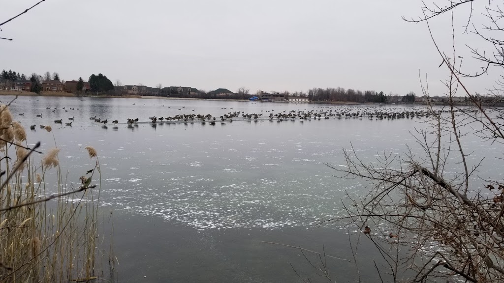 White Spruce Park | Brampton, ON L6Z 0B4, Canada | Phone: (647) 892-8970
