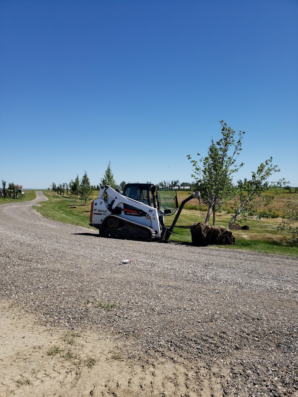 Wheatland Trees Ltd. | 253022, Township Rd 234, AB T0J 1X0, Canada | Phone: (403) 934-2829