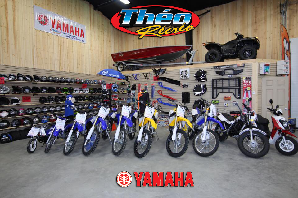 Theo Recreo Enr | 501 Bd des Ruisseaux, Mont-Laurier, QC J9L 0H6, Canada | Phone: (819) 623-9445