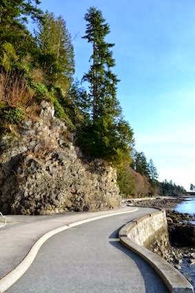 Cycle City Tours and Bike Rentals | 1344 Burrard St, Vancouver, BC V6Z 2B7, Canada | Phone: (604) 618-8626