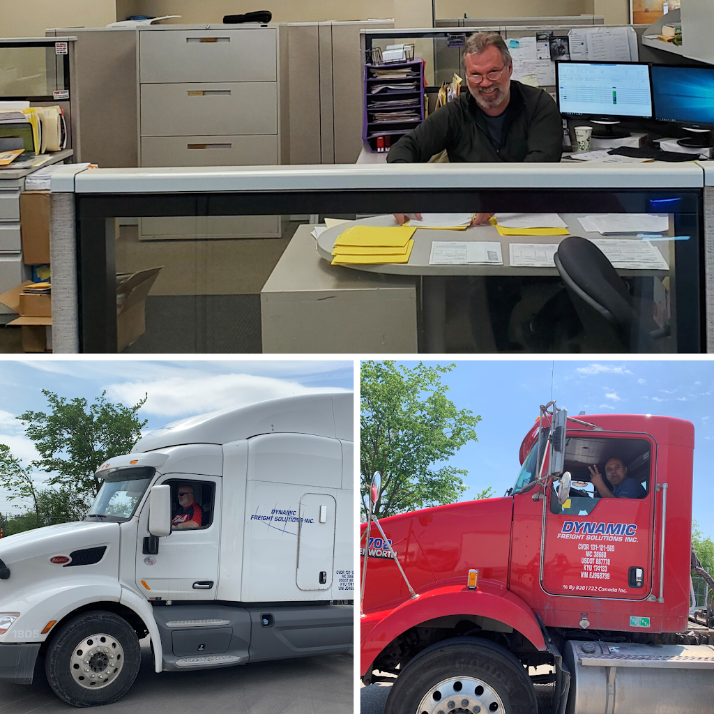 NALSI - Canada | 49 Simpson Rd, Bolton, ON L7E 2R6, Canada | Phone: (905) 951-1612