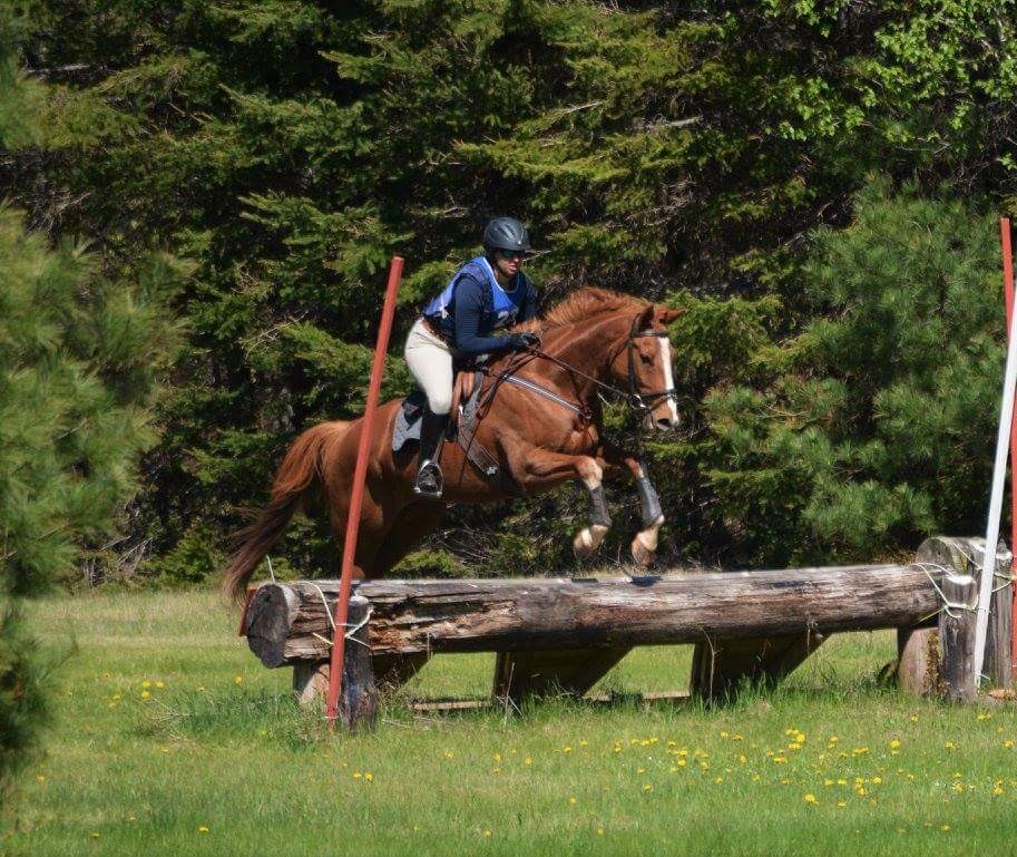 Seaglass Stables | 1779 Winsloe Rd, Winsloe North, PE C1E 2Z1, Canada | Phone: (902) 303-2638