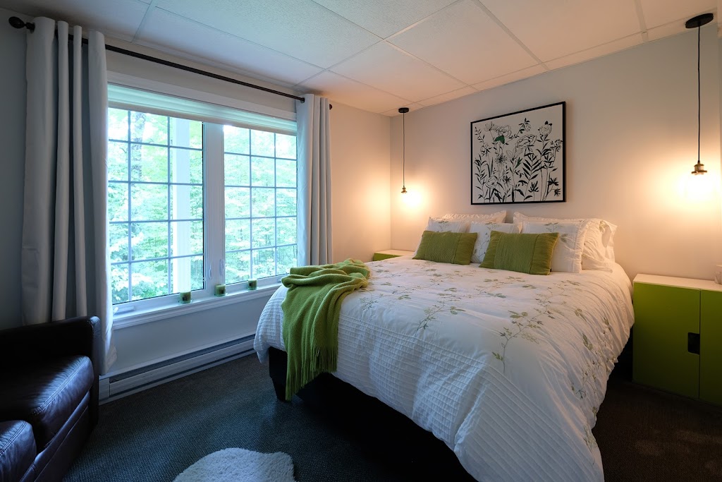 Gîte du Versant | 54 Rue Raymond Lemieux, Shefford, QC J2M 1Y5, Canada | Phone: (438) 823-5857