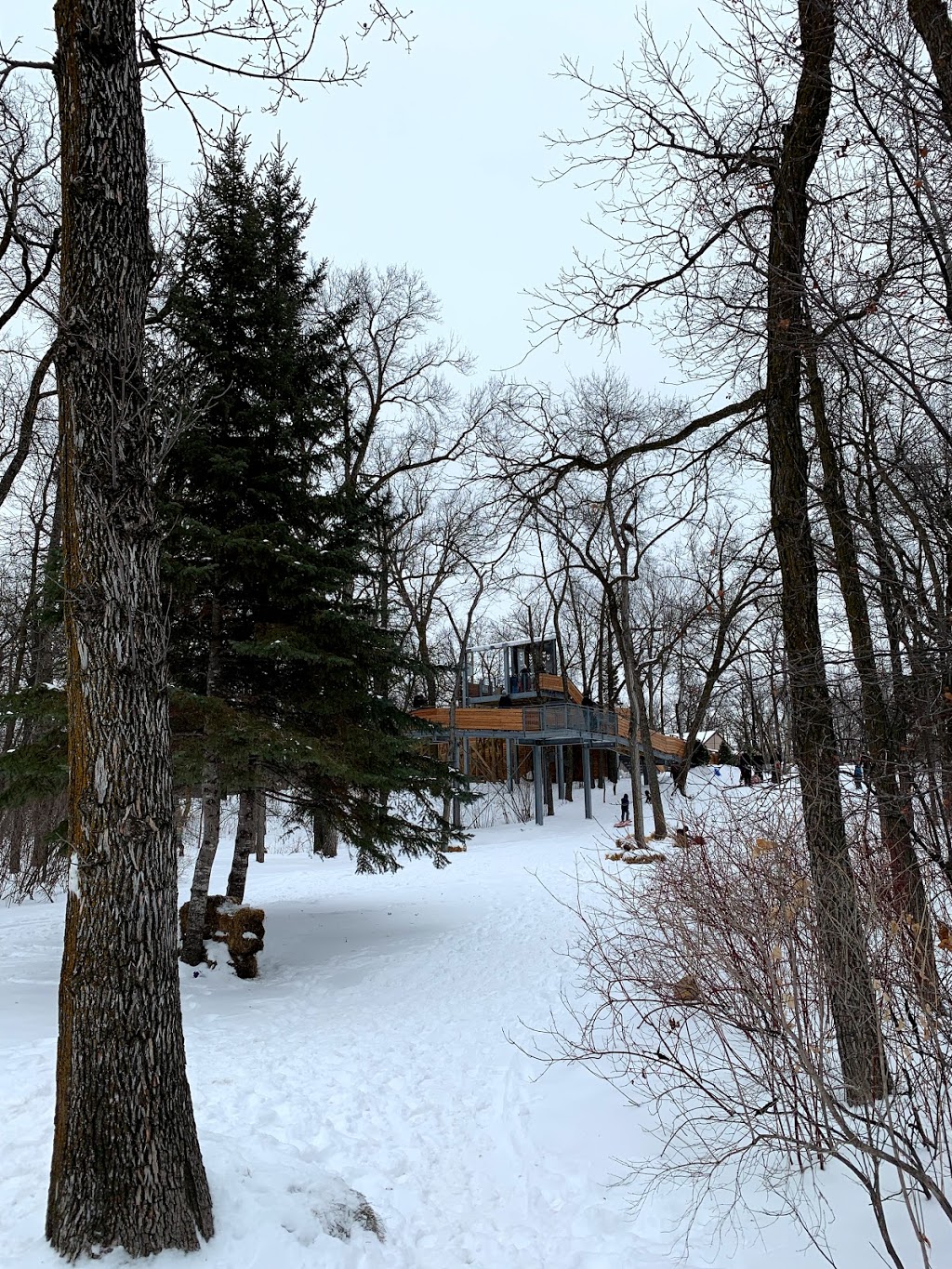 Toboggan Slide | 190 River Rd, Winnipeg, MB R2M 5C4, Canada | Phone: (204) 986-6006