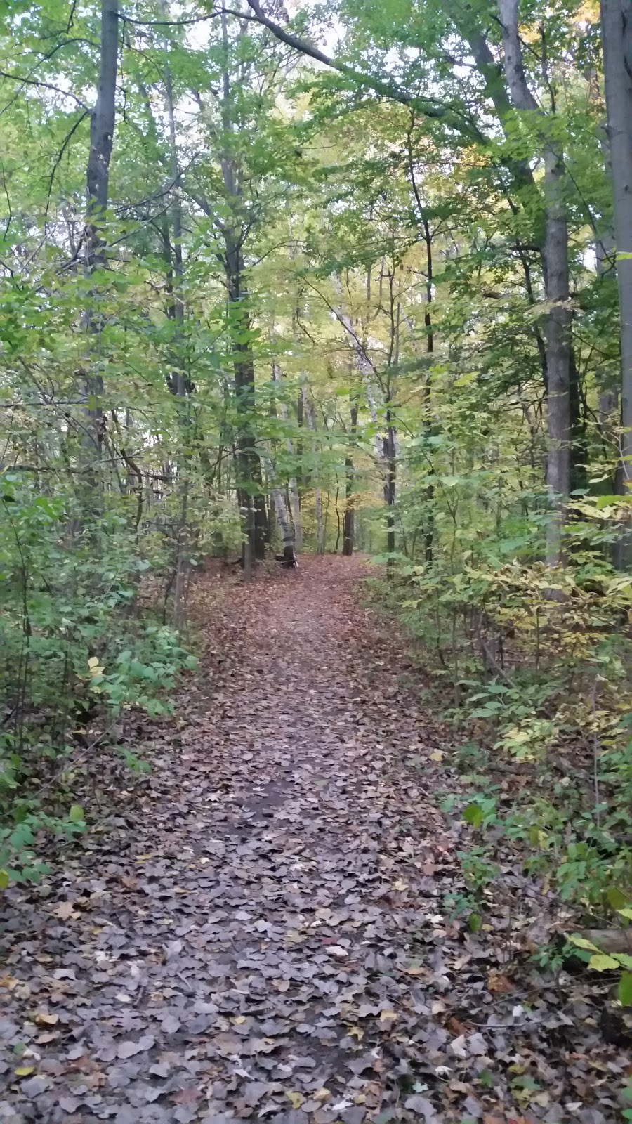 Greig Park | 795 N Carney Dr, St Clair, MI 48079, USA