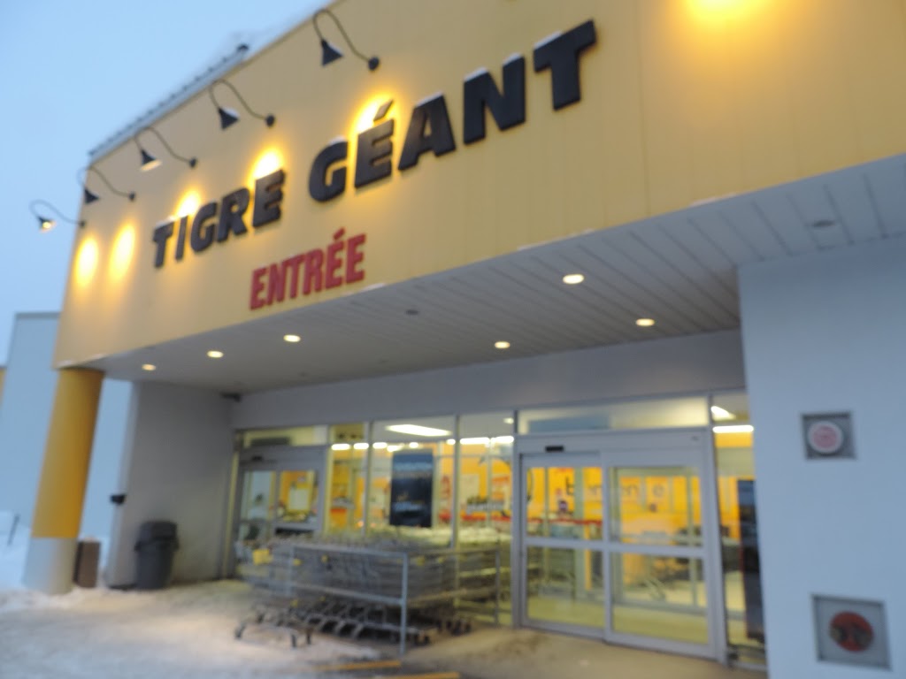 Tigre Géant | 451 Rue Léonard, Sainte-Agathe-des-Monts, QC J8C 2Y5, Canada | Phone: (819) 326-9099