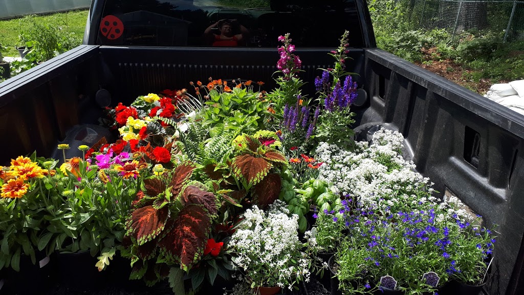 Daphnes Floral Design | 6600 Trunk #3, Western Shore, NS B0J 3M0, Canada | Phone: (902) 627-1088