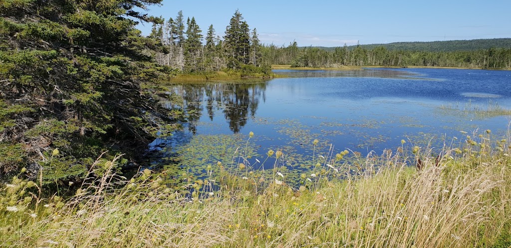 Bayswater Beach Picnic Park | NS-329, Blandford, NS B0J 1C0, Canada