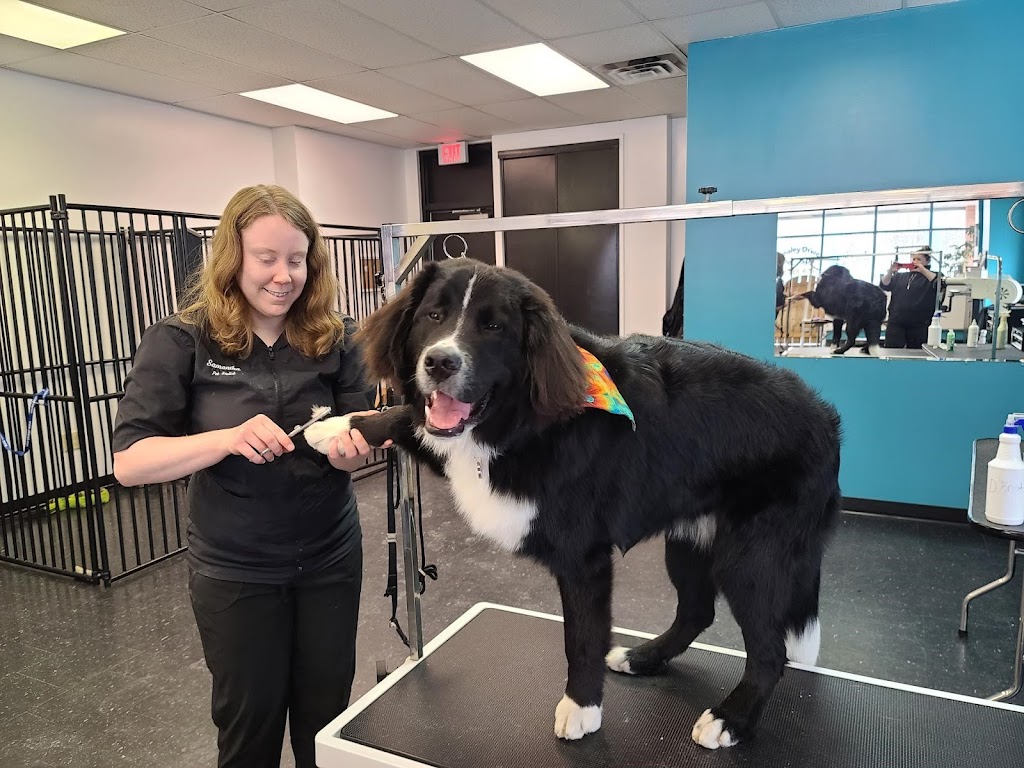 Brealey Drive Pet Spa | 1789 Stenson Blvd Unit 5, Peterborough, ON K9K 2H4, Canada | Phone: (705) 748-6262