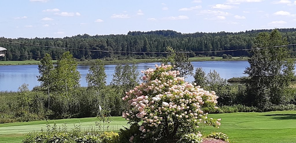Club de Golf Saint Benjamin | 490 Rue du Lac, Saint-Benjamin, QC G0M 1N0, Canada | Phone: (418) 594-5545