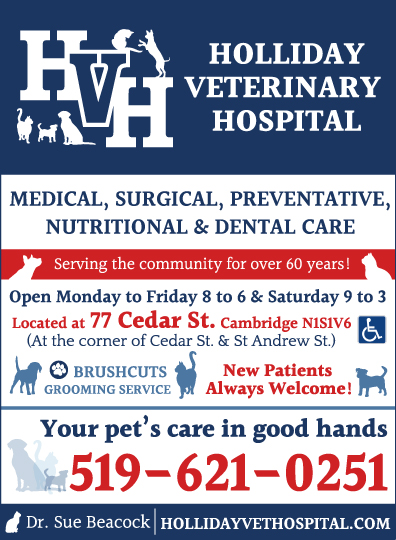 Holliday Veterinary Hospital | 77 Cedar St, Cambridge, ON N1S 1V6, Canada | Phone: (519) 621-0251