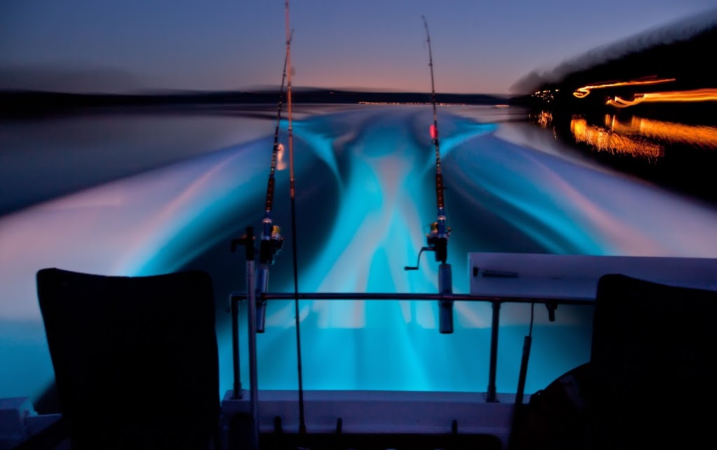 North Shore Charters | 5164 Deer Harbor Rd, Eastsound, WA 98245, USA | Phone: (360) 376-4855