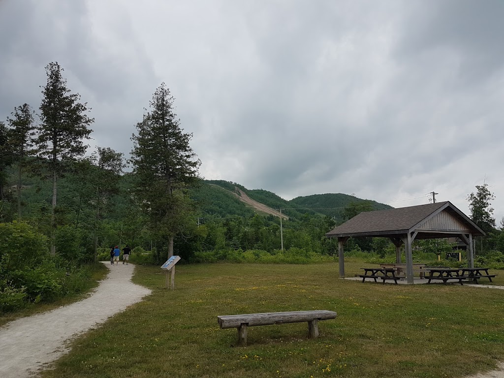 Delphi Point Park | 209233 ON-26, Clarksburg, ON N0H 1J0, Canada