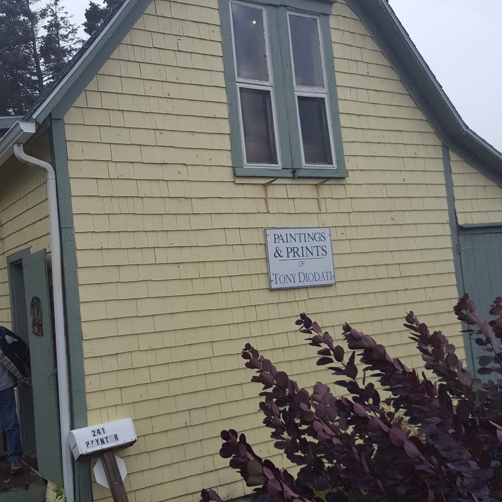 Tony Diodati Art Gallery | 241 Paynter Rd, Springbrook, PE C0B 1M0, Canada | Phone: (902) 886-3009