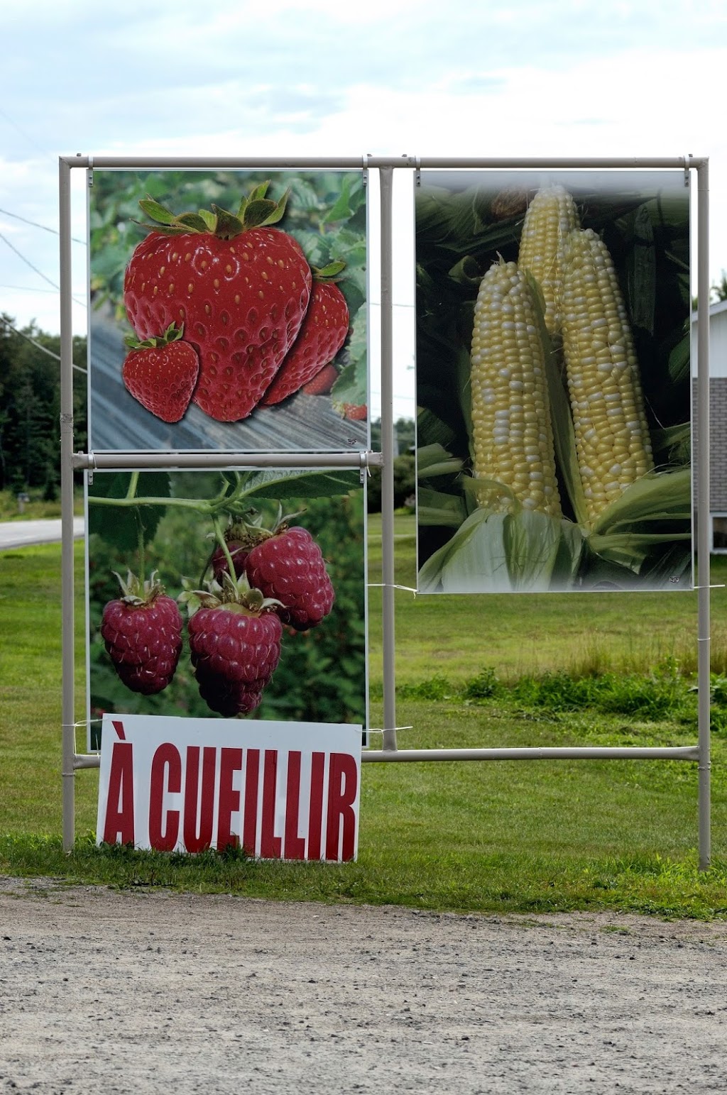 Ferme La Cueille | 574 Chemin des Dalles, Saint-Étienne-des-Grès, QC G0X 2P0, Canada | Phone: (819) 535-3015
