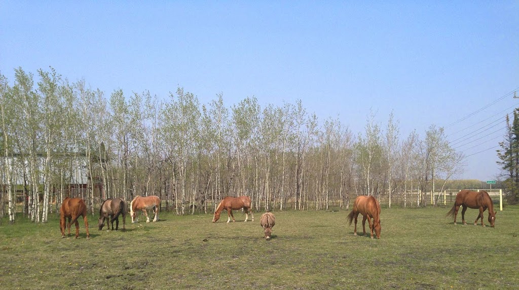 Hoof Geeks | 292 McPhillips Rd, Saint Andrews, MB R1A 3E4, Canada | Phone: (204) 771-5335
