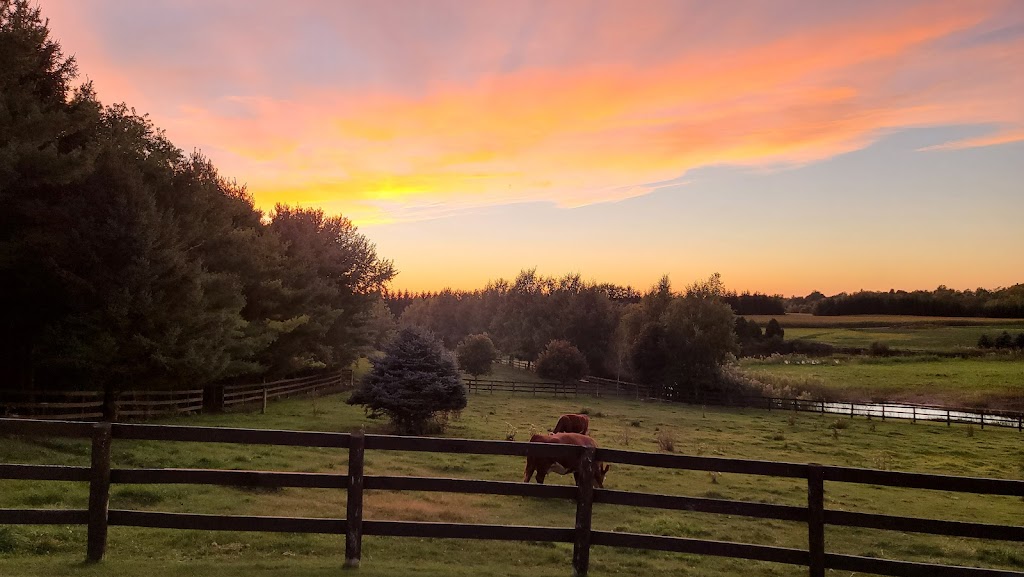 Three Brother Ranch | 343609 Ebenezer Rd, Mount Elgin, ON N0J 1N0, Canada | Phone: (226) 228-3526