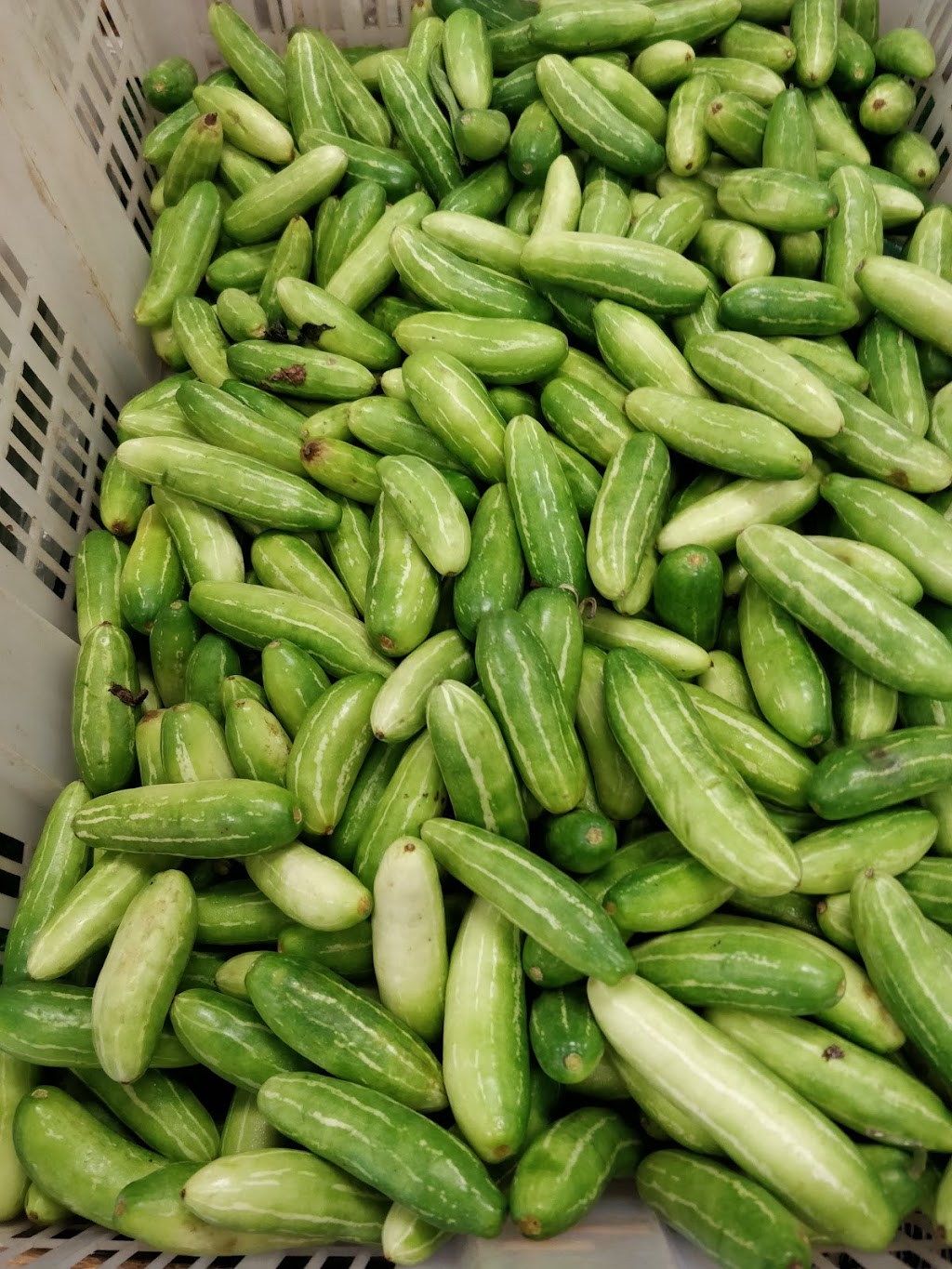 Onkar Foods & Spices | 13-15, 101 Hazelglen Drive, Kitchener, ON N2M 5A2, Canada | Phone: (519) 745-4699