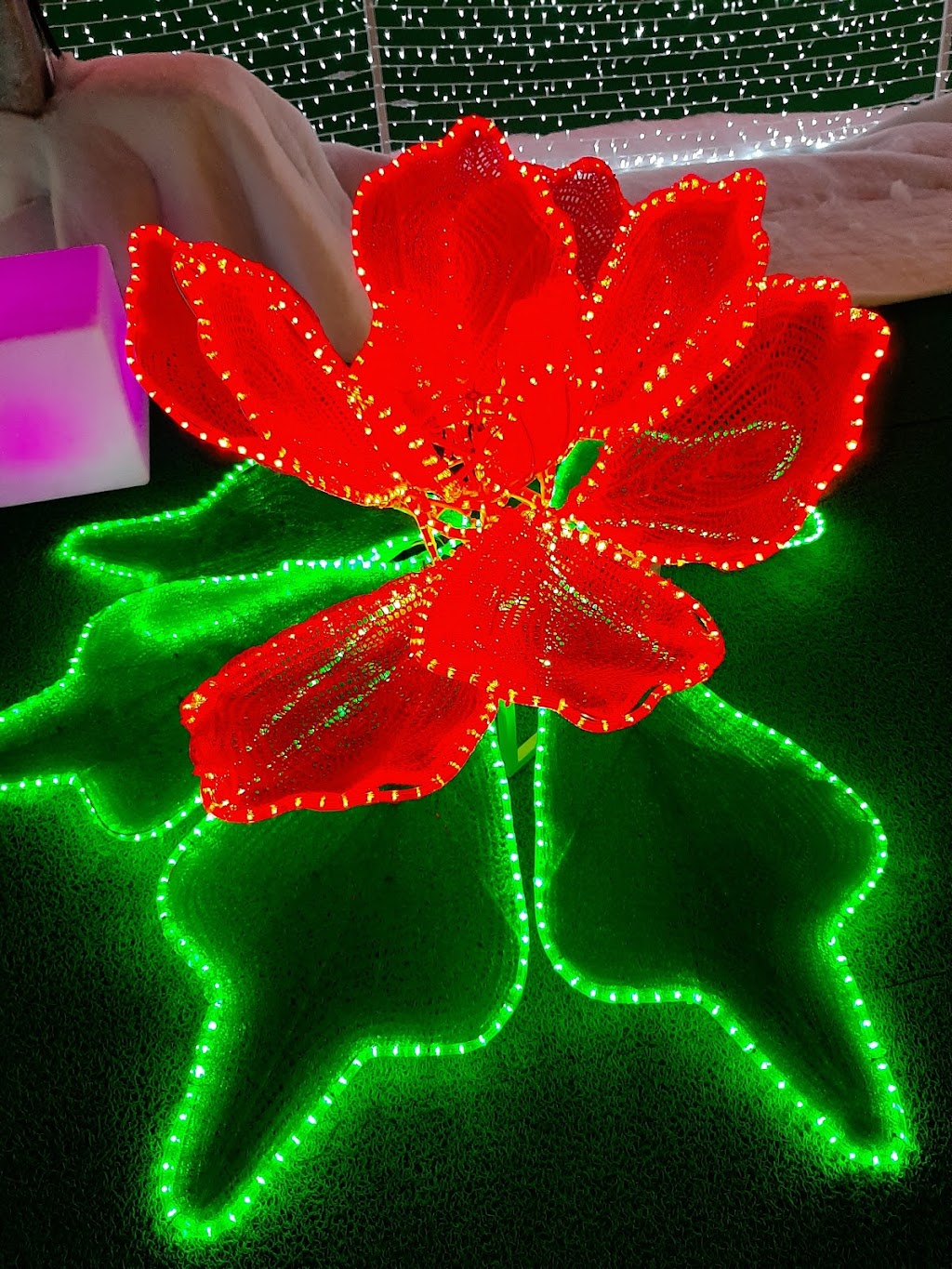 Enjoy Light Festival | 101 Riel Dr, St. Albert, AB T8N 3X4, Canada | Phone: (901) 504-7324