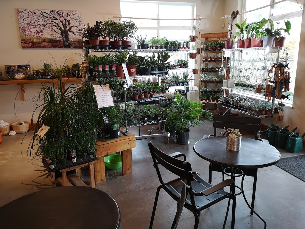 Deluxe Landscape Supply and Garden Centre | 5534 Sechelt Inlet Cres, Sechelt, BC V0N 3A3, Canada | Phone: (604) 885-9070