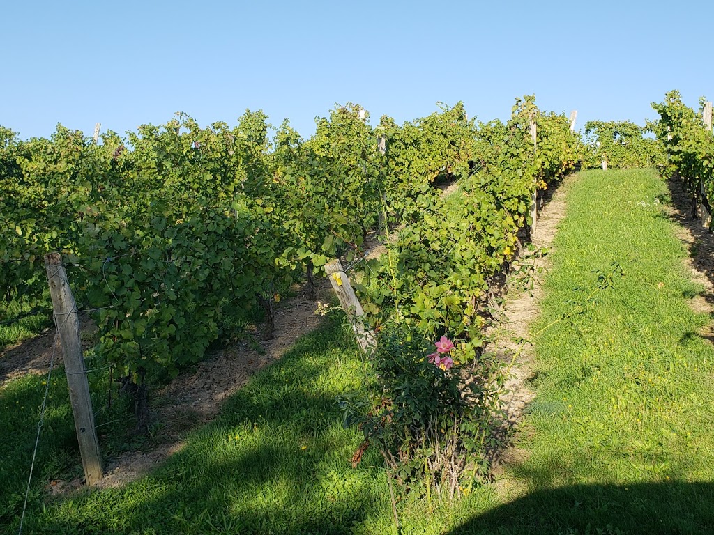 Malivoire Wine Company | 4260 King St, Beamsville, ON L0R 1B0, Canada | Phone: (866) 644-2244