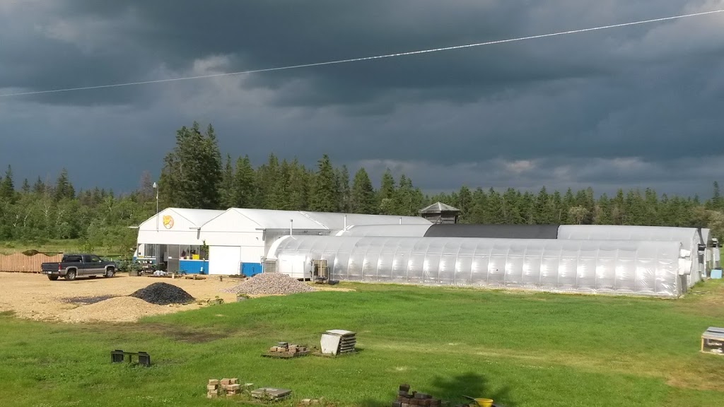 Friendly Flowers Garden Ctr | NE-15-22-2E, Arborg, MB R0C 0A0, Canada | Phone: (204) 376-2727