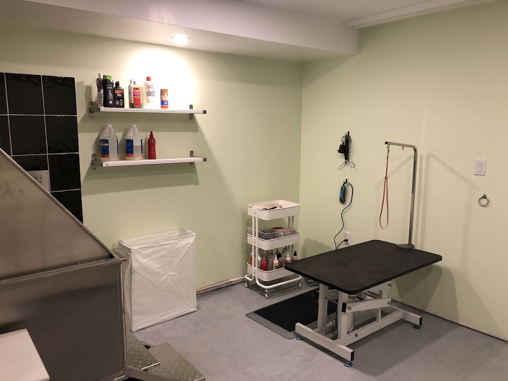 Kanine Klips | 8063 NS-311, Tatamagouche, NS B0K 1V0, Canada | Phone: (902) 305-7311