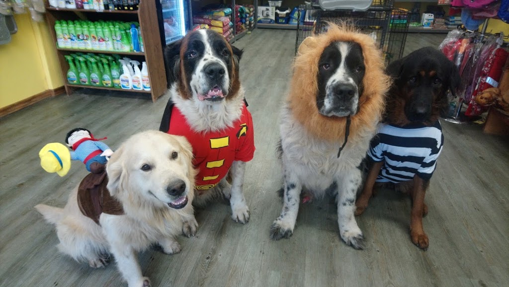 Thors Healthy Pet Foods | 3-, 3840 Dominion Rd, Ridgeway, ON L0S 1N0, Canada | Phone: (289) 876-8258