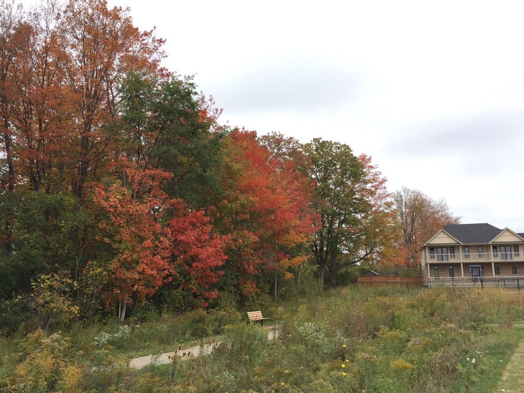 Cedar Hollow Park | 564 Killarney Rd, London, ON N5X 0C9, Canada